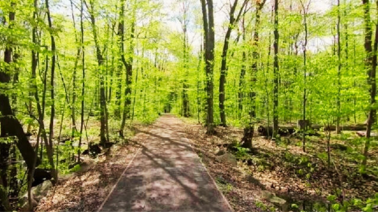 40 Minutes Beautiful Walking Destinations For Treadmill 4k