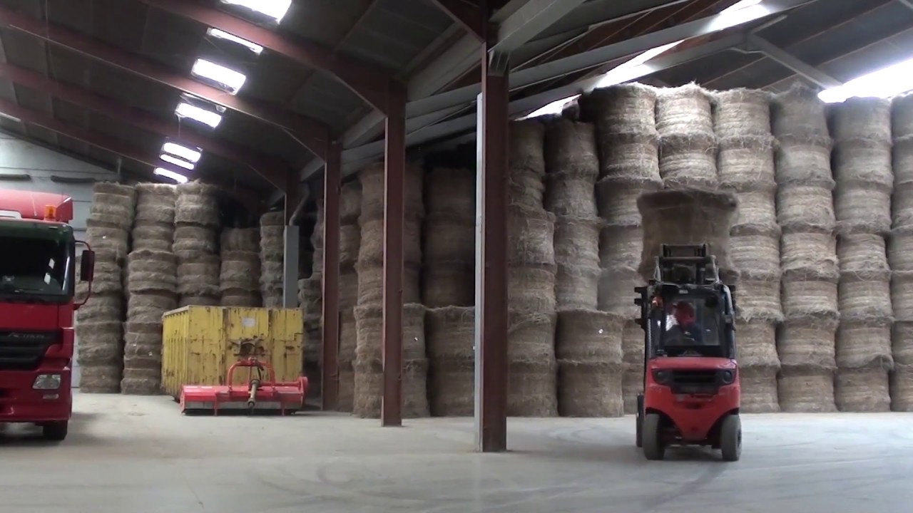 Ouderavond 2016 - Hello Adele