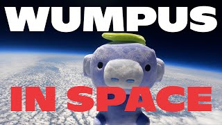 We Sent Wumpus Into Space