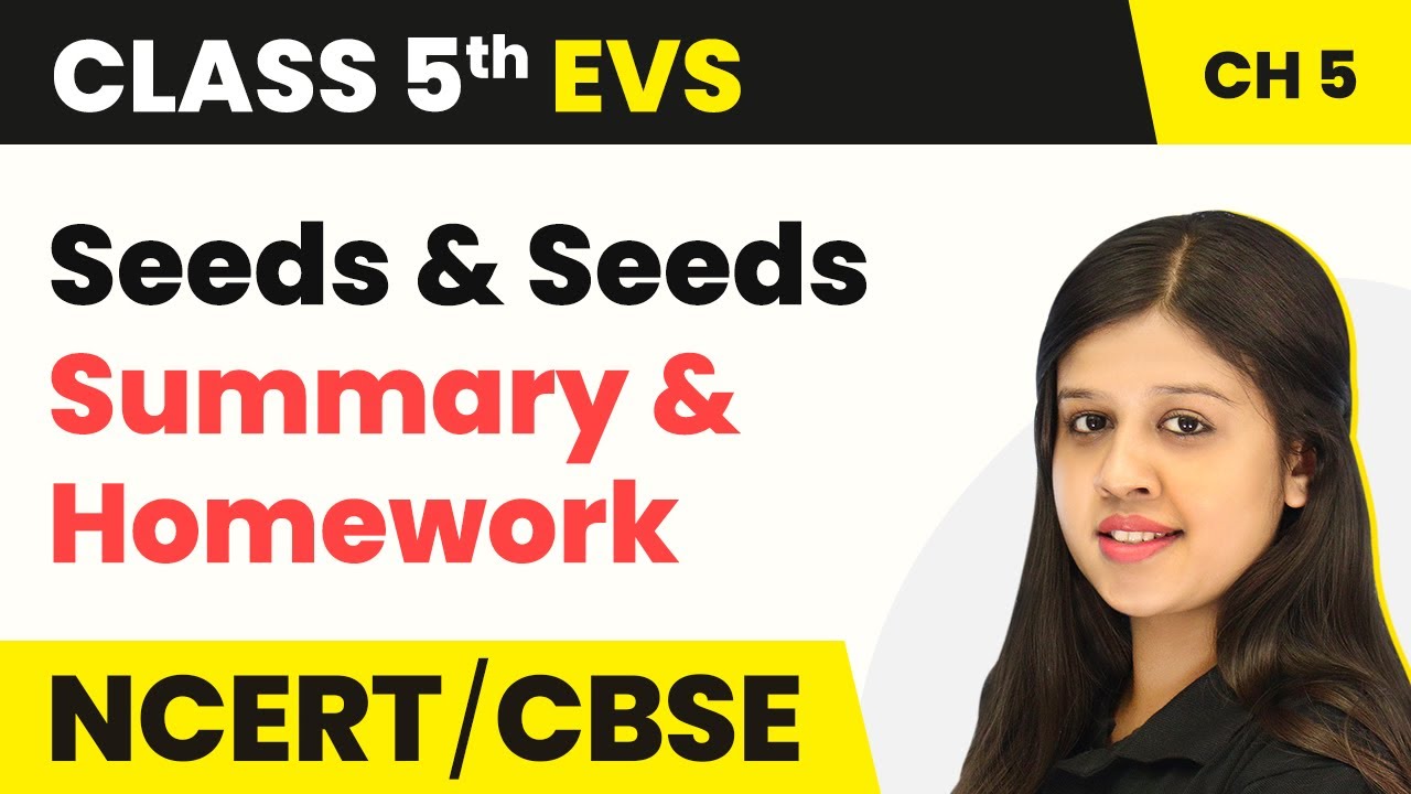 Seeds and Seeds - Summary & Homework | Class 5 EVS Chapter 5 | 2024-25