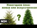 Как выбрать идеальную новогоднюю ёлку? Городской стандарт - Москва 24