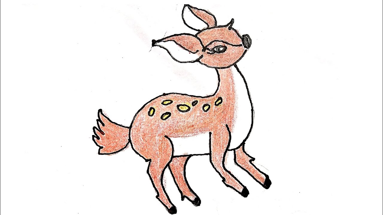 Deer easy Drawing || How to Draw a Deer step by step || Simple Deer easy Drawing Colouring