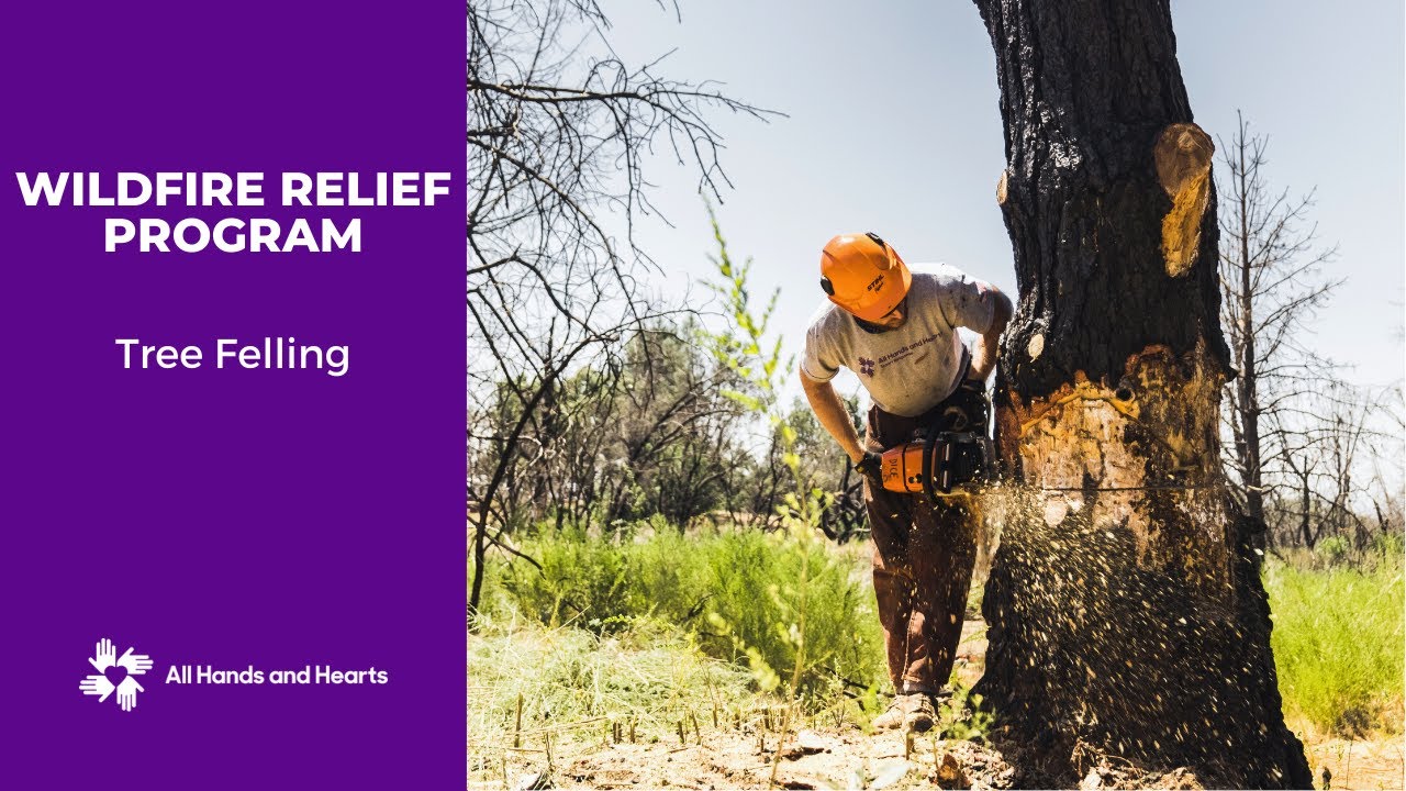 All Hands and Hearts - Wildfire Relief Program | Tree Felling
