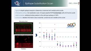 Peptide Microarrays for Cancer Research