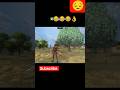 Adivasi #reletedmeme #freefire #funny