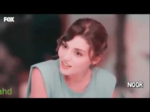 محمد فؤاد شارينى