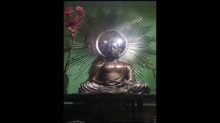 The Paige Fraser Foundation. Meditation w/ Dr. Eingorn DC
