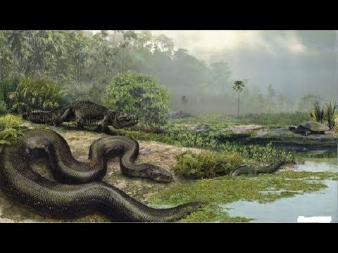 नद म त रत द ख स फ ट ल ब स प प र द न य ह र न 