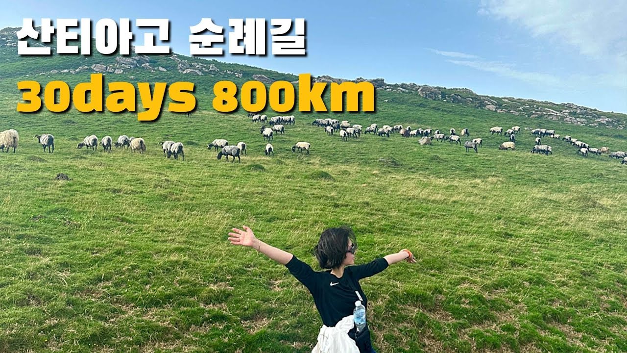 [산티아고 순례길] 혼자 떠난 산티아고 프랑스길 몰아보기 정주행ㅣ알베르게 정보