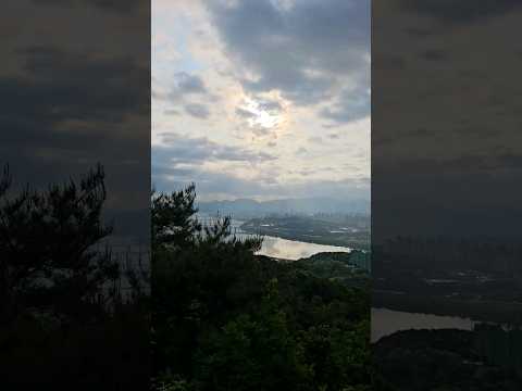 기억의 향기