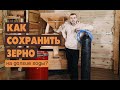 Как сохранить зерно на долгие годы?