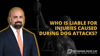 Let's Talk Law - Episode 1: Dog Attacks