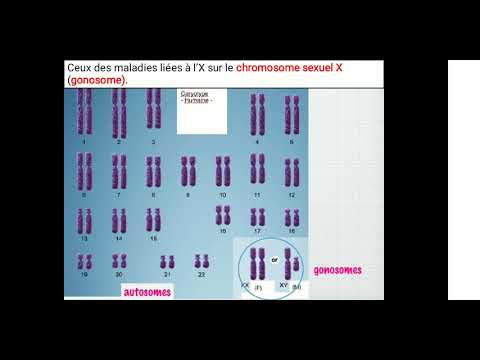 Vidéo: Différence Entre L'héritage Monogénique Et Polygénique