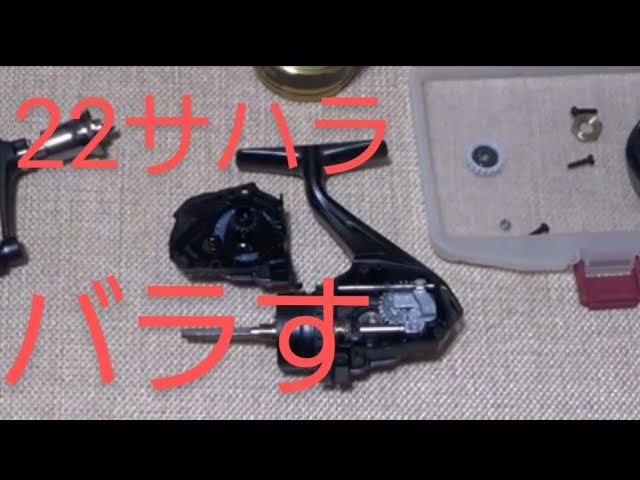 22サハラ解析 - YouTube