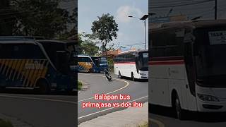 manuver balapan bus Primajasa vs doa ibu menikung tajam
