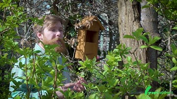 How to Mount up a Bird Box | Green Feathers HQ