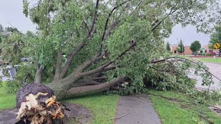 Storms knock out power, leave behind debris in Webster City