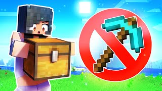 Tools BANNED From MINECRAFT!