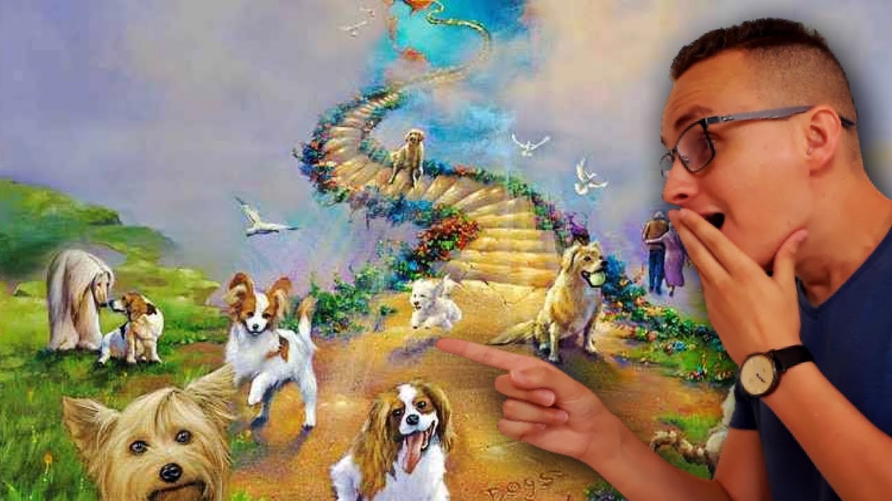 OS ANIMAIS VÃO PARA O CÉU? PARA ONDE VÃO OS ANIMAIS QUANDO MORREM