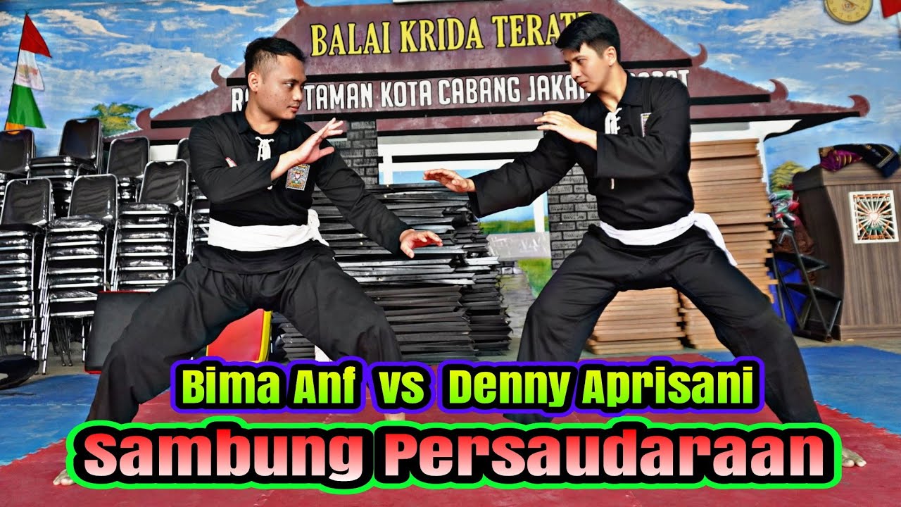 Bima Anf vs Denny Aprisani Sambung Persaudaraan || Sparing Persaudaraan