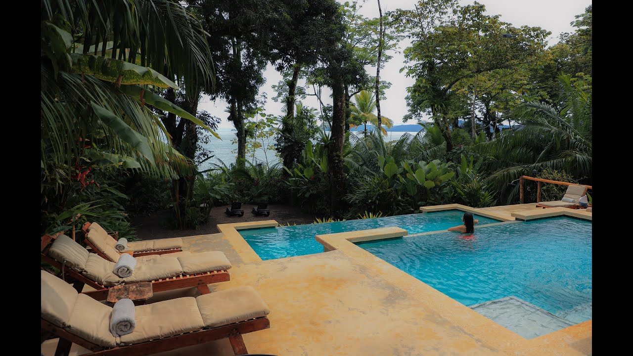 Costa Rican Vacations At Copa Del Arbol 2022 YouTube costa-rican-vacations-at-copa-del-arbol-2022-youtube