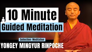 10 Minute Guided Meditation for Beginners on Awareness - Yongey Mingyur Rinpoche | LSE 2018【C:M Ep5】