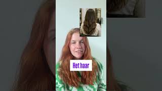 DAY-TO-DAY DUTCH: HAIRDRESSER