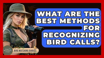What Are The Best Methods For Recognizing Bird Calls? - Bird Watching Diaries