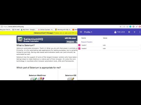 Vídeo: Com interactua el seleni amb el navegador?