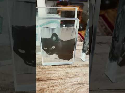 How to make a Polaroid emulsion lift on glass