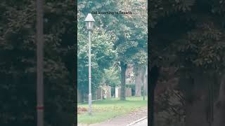 Travel with us! Driving near Ansbach, Bavaria, Germany. Fall colors are coming!
