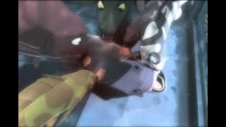 PADAK -  Trailer 1