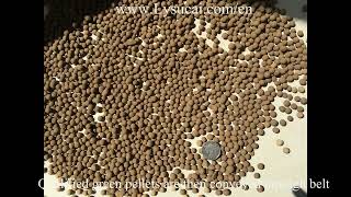 Lightweight Aggregate (LECA)production line introduction .