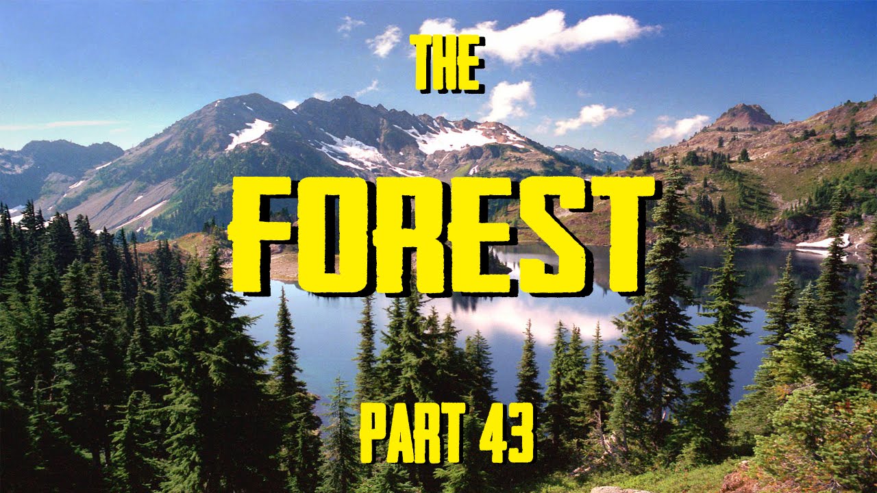 The Forest | Part 43 | ROCK CLIMBING! - YouTube