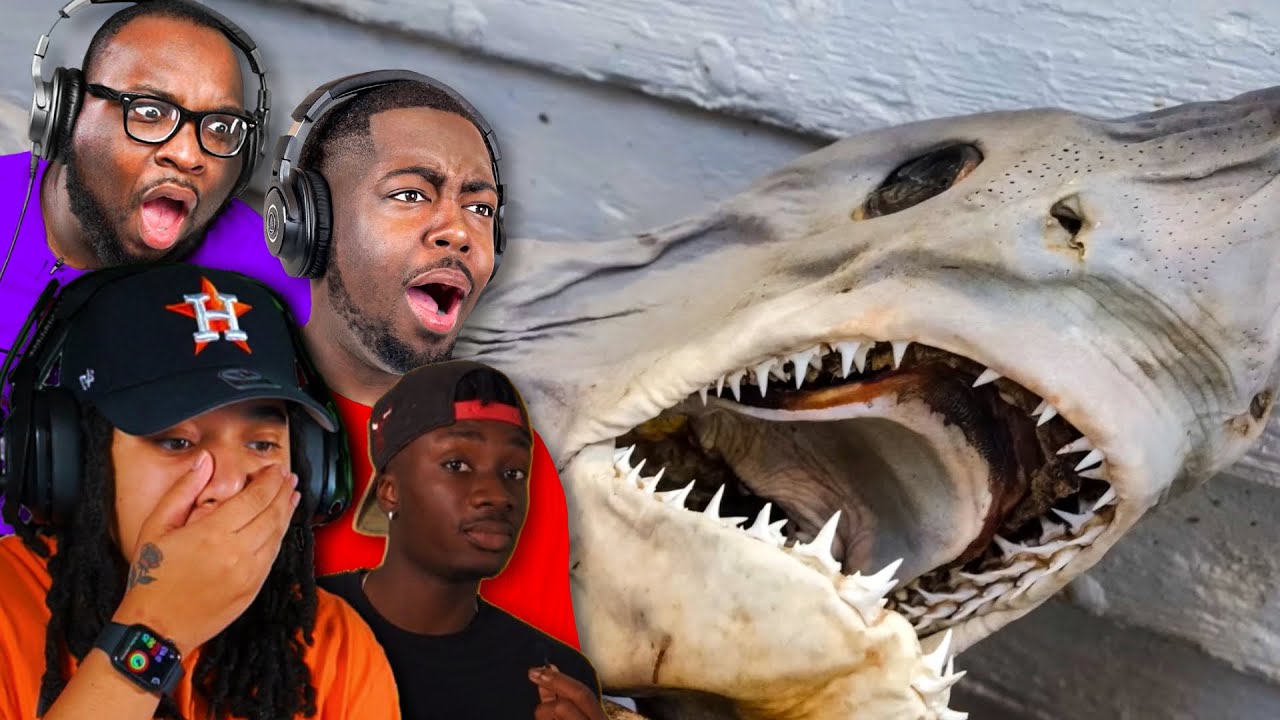 Terrifying Shark Facts! w/ @InternetCity (Casual Geographic)
