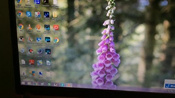 SIMS 3 KEEPS CRASHING GLITCH