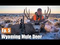 My Biggest Buck Yet | 2019 Wyoming Mule Deer (Ep. 5)