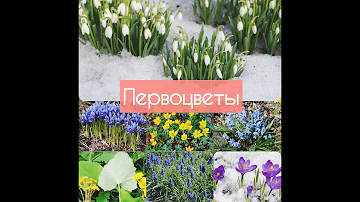 Ознакомление с окружающим миром. Тема 