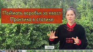 Поймать воробья за хвост. Стойки и Практика в статике.