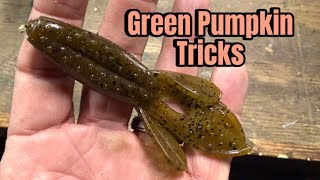 видео: После просмотра этого видео вы больше никогда не будете ловить рыбу на зеленую приманку в виде ты... картинка: После просмотра этого видео вы больше никогда не будете ловить рыбу на зеленую приманку в виде ты...