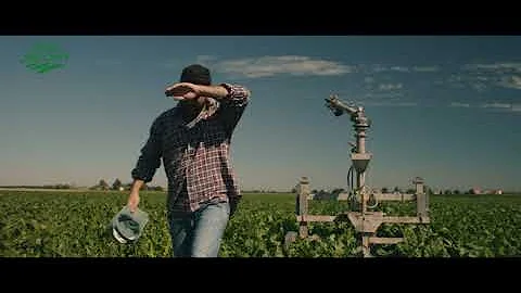 Chi vende Italia Zuccheri?