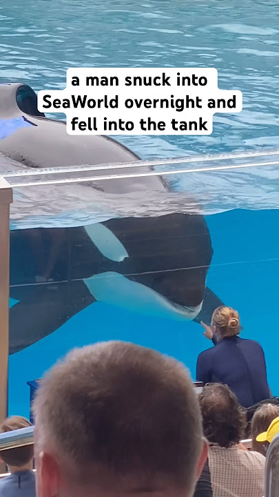 Man dies from Killer Whale at SeaWorld