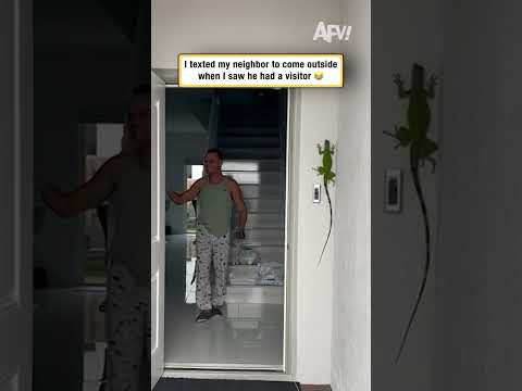 I texted my neighbor to come outside when I saw he had a visitor đ 1 I texted my neighbor to come outside when I saw he had a visitor đ
