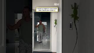I texted my neighbor to come outside when I saw he had a visitor 😂