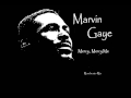 Marvin Gaye - Mercy, Mercy Me (Manchester Mix)