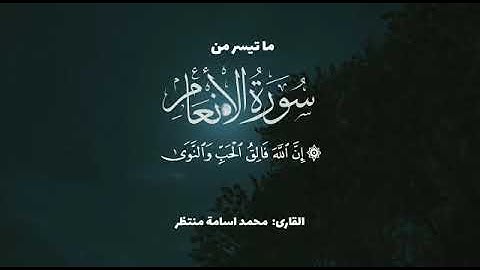 ما تيسر من سورة الأنعام للقارئ//محمد أسامة منتظر