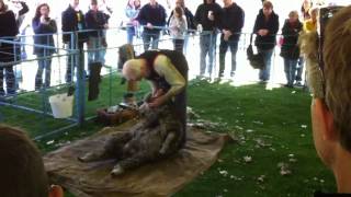 04/28/12 - Gore Sheep Shearing Festival