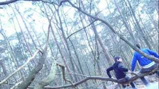 Download Lagu de tak zei KRAK! mooiding! MP3