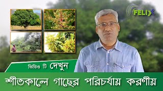 শীতকালে গাছের পরিচর্যায় করণীয় কি ?