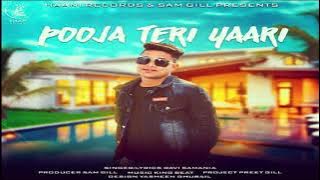 POOJA TERI YAARI (Full Audio Song) ● RAVI SAMANIA ● New Punjabi Song 2018 ● HAAਣੀ Records